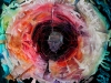 Die Spinne im Netz